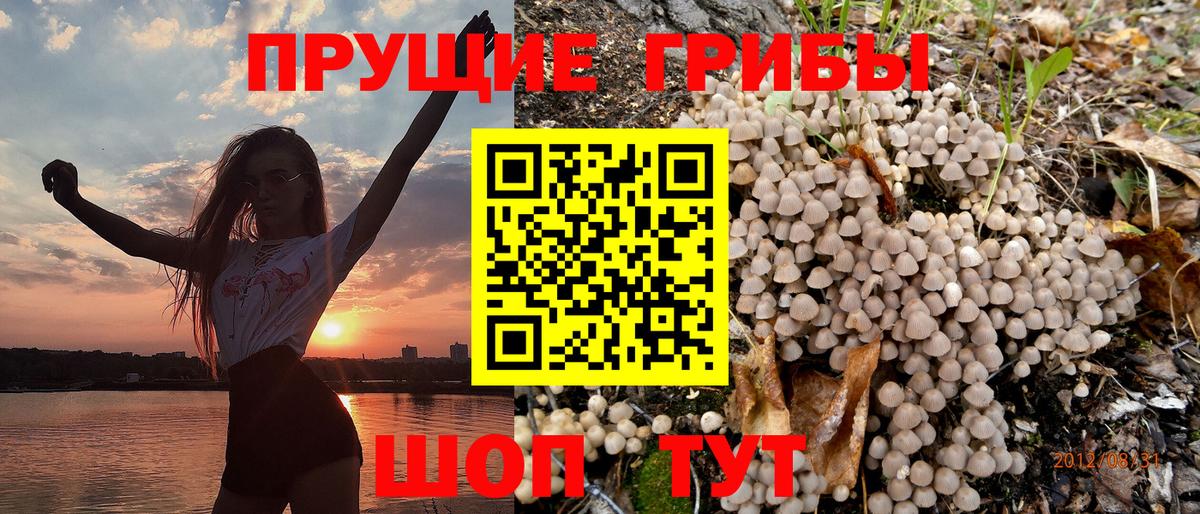 Лыткарино  Марихуана  Гашиш  Вейп ТГК  Гашиш  Вход с VPN  МЕФ кристаллы 
